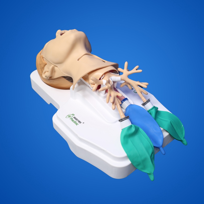 Advanced Tracheostomy and Intubation Training Model - 网站