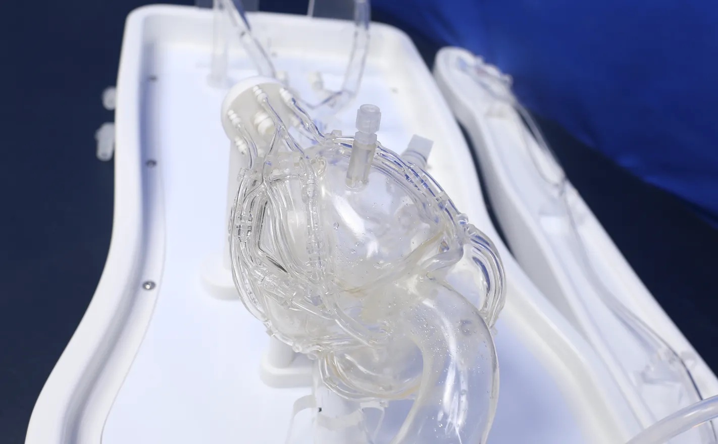 Coronary Training Model - Type B (Pulse version) for Preclinic ...
