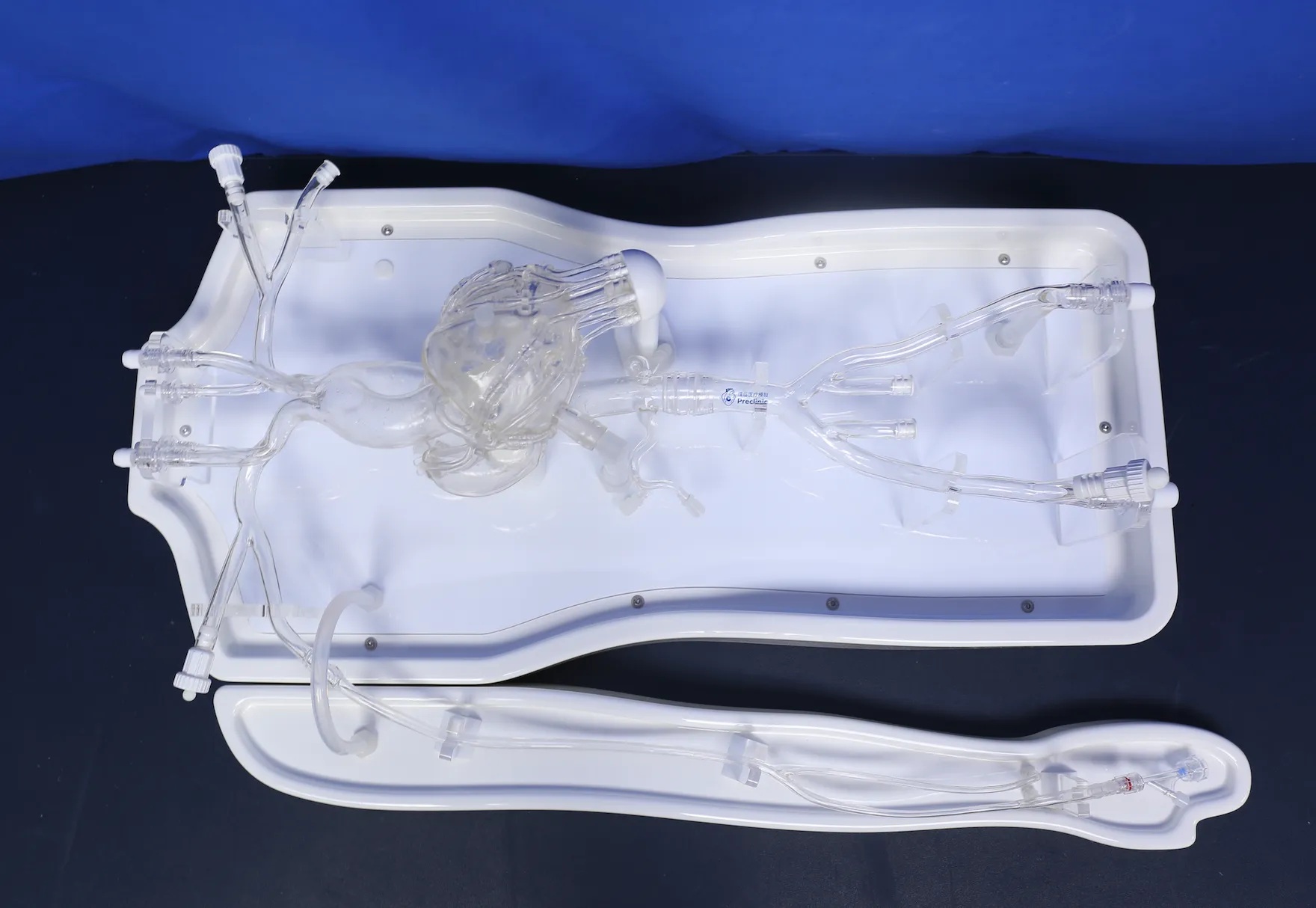 Coronary Training Model - Type B (Pulse version) for Preclinic ...