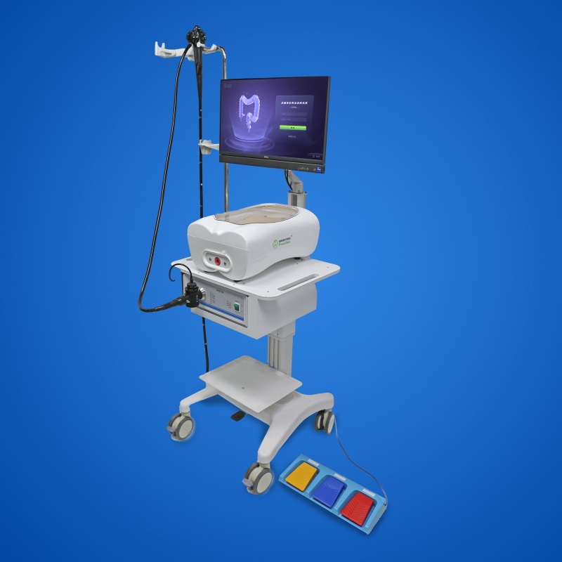 Colonoscopy Operation Training Simulator - Ideal for Preclinic ...