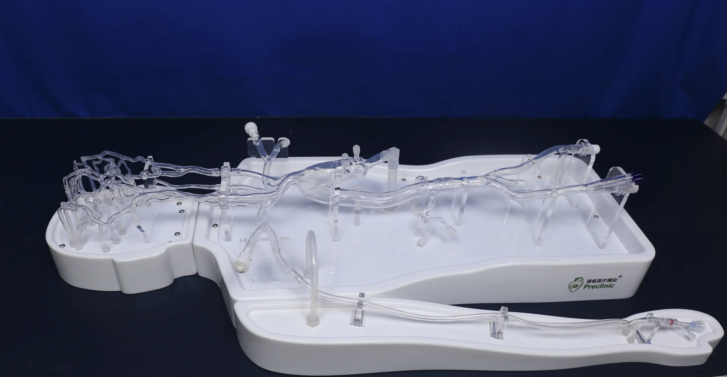 Neurovascular Operation Training Model - Type B: Ideal Vascular Model ...